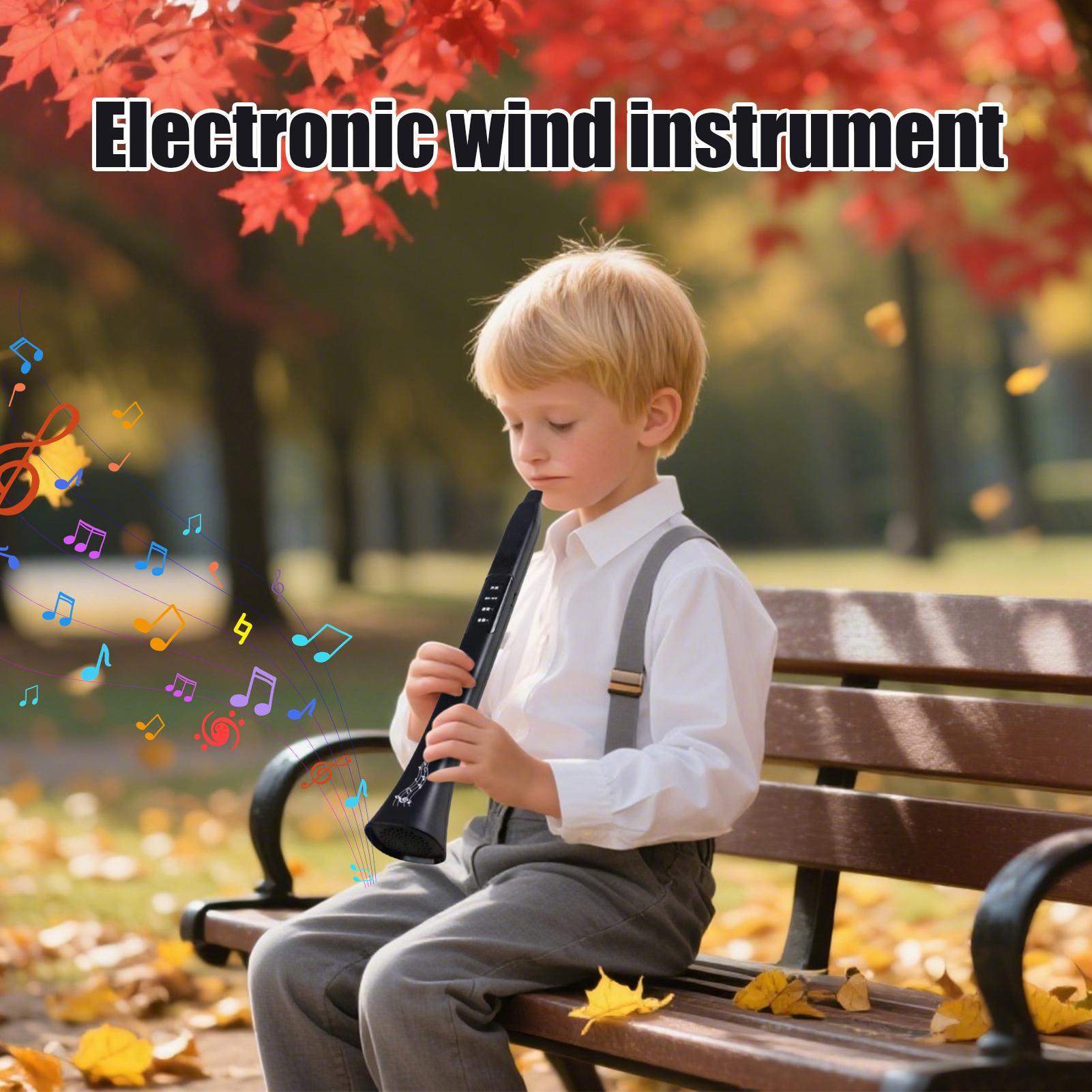 Electronic Digital Wind Instru - Musical Instrument Synthesizer recension och pris