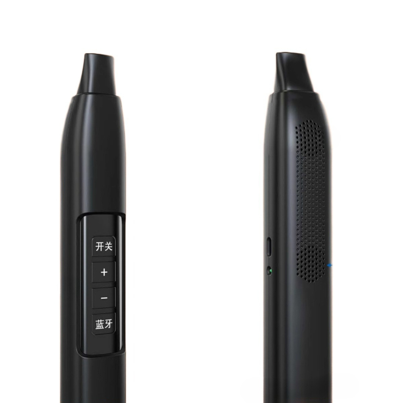 Portable Electronic Wind Instr - Musical Instruments recension och pris