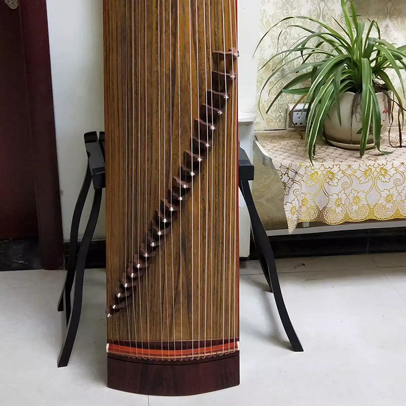 Guzheng Instrument Chinese Woo - Musical Instrument Mandolin recension och pris