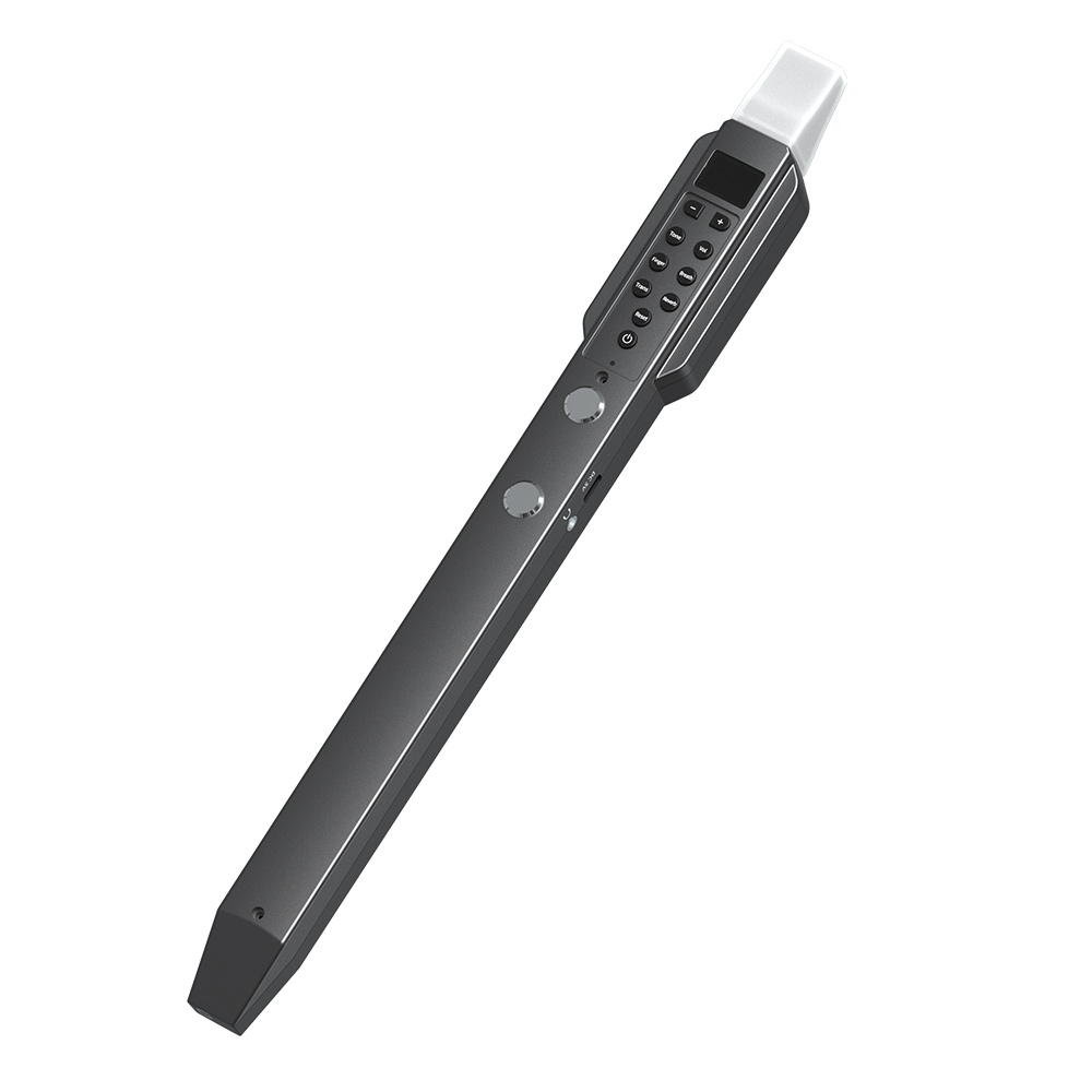 Small Transverse Flute Electro - Musical Instrument Theremin recension och pris