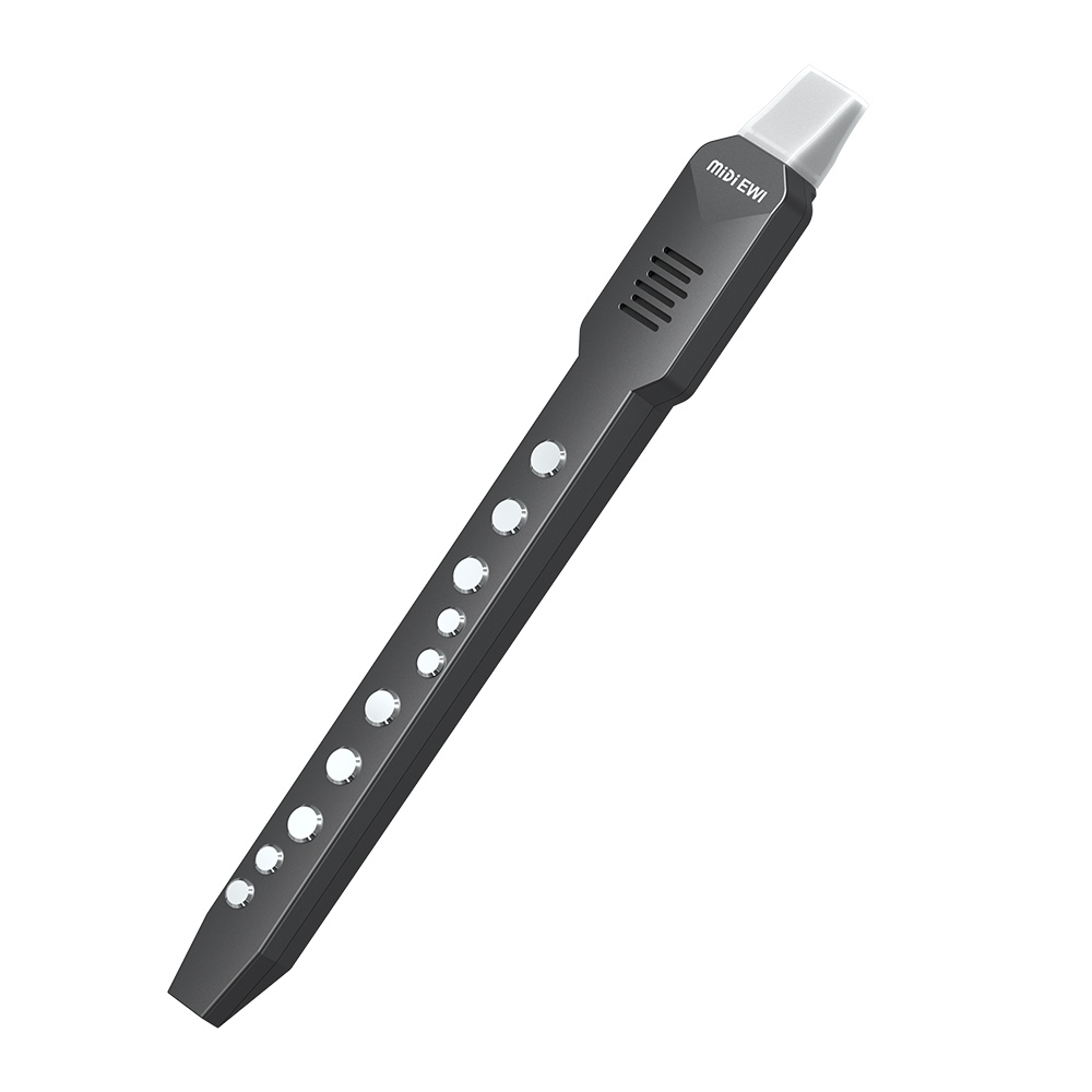 Small Transverse Flute Electro - Musical Instrument Theremin recension och pris
