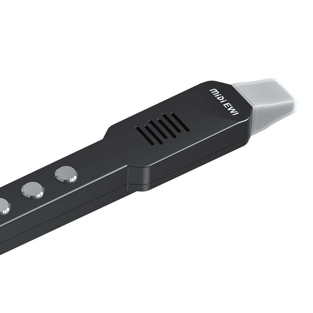 Small Transverse Flute Electro - Musical Instrument Theremin recension och pris